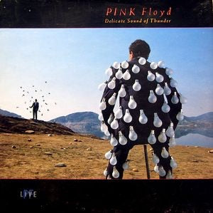 PINK FLOYD - Delicate Sound of Thunder (2LP LIVE album)