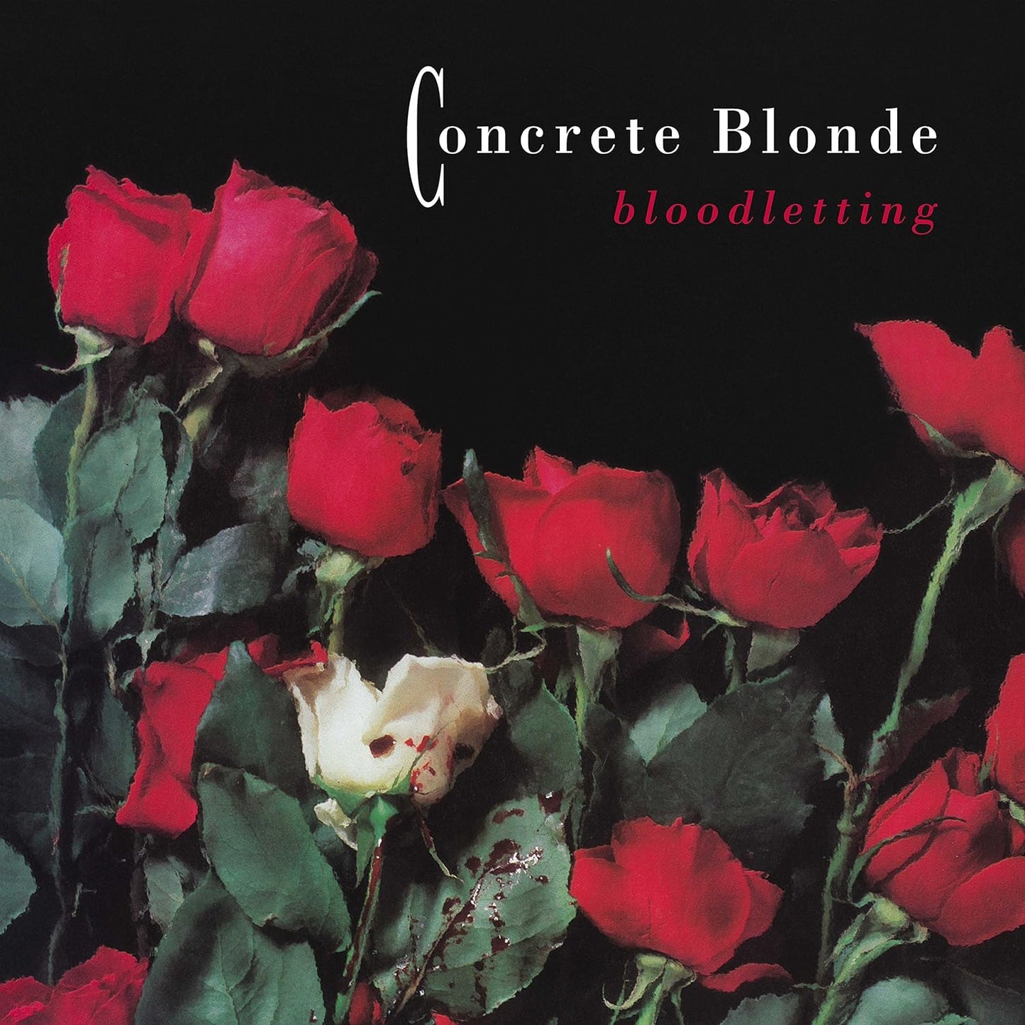 CONCRETE BLONDE - Bloodletting